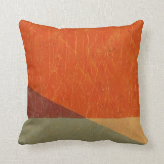 Perspectives in Colour Throw Pillow