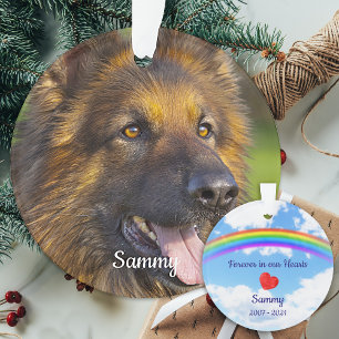Perte d'animal de compagnie Rainbow Bridge Animal 