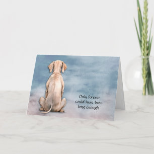 Perte de carte de sympathie de chien Weimaraner
