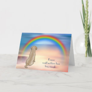 Perte de la carte de sympathie arc-en-ciel du labo