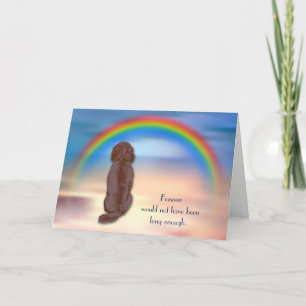 Perte de la carte de sympathie avec le chien de La