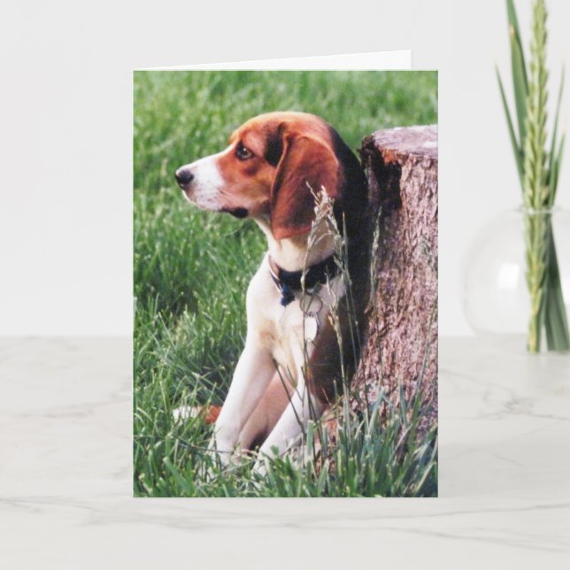 Perte de la carte de sympathie du Beagle (Devant)