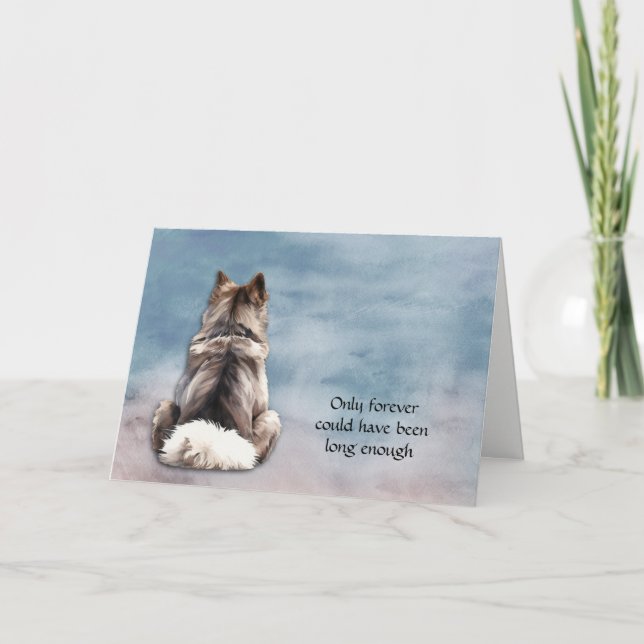 Perte de la carte de sympathie du chien Keeshond (Devant)