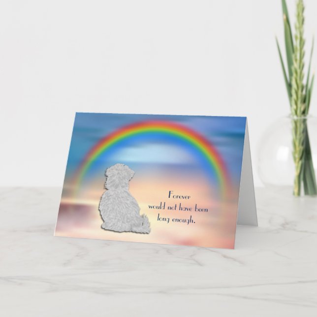 Perte de la carte de sympathie Rainbow Chien Havan (Devant)