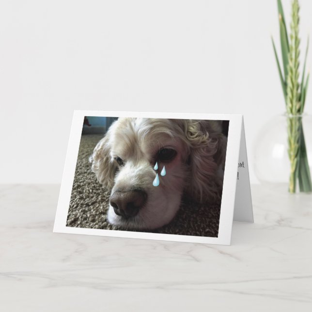 PERTE DE LA CARTE SYMPATHIQUE "FAMILY PET" (Devant)