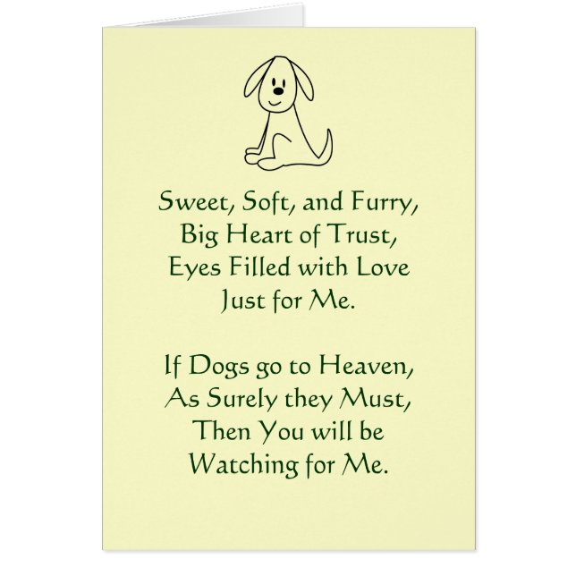 Perte de la sympathie du chien (Devant)