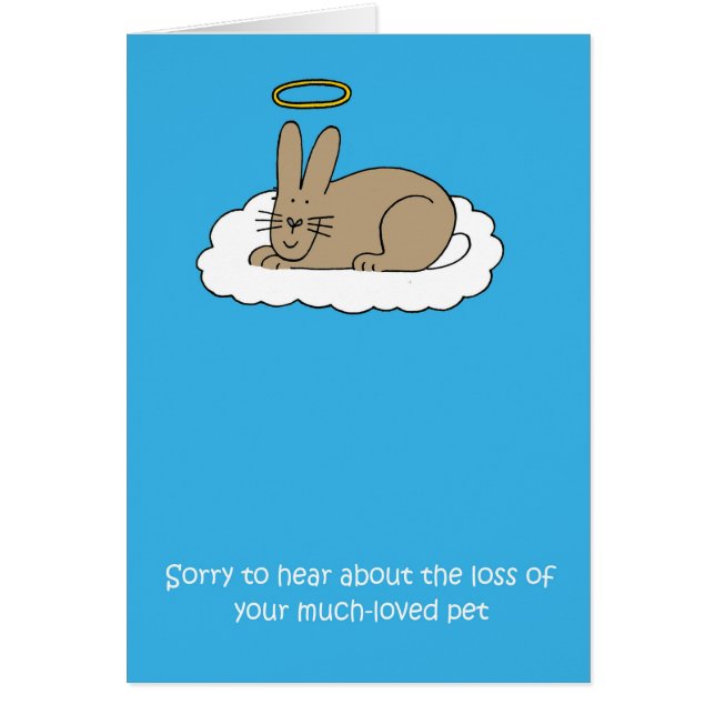Perte de la sympathie du lapin d'animal (Devant)