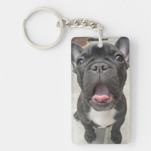Perte de l'animal  Chien  Memorial Keepsaké avec p