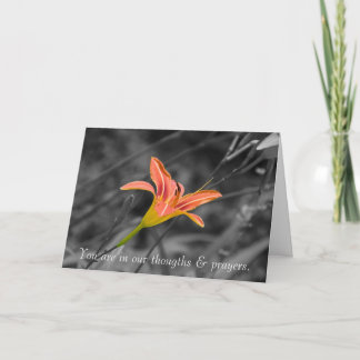 Perte de votre carte de sympathie de mère