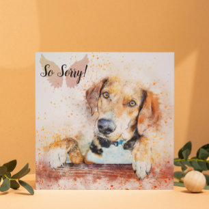 Perte d'une carte de chien d'animal de compagnie