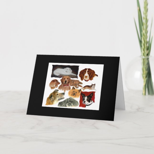 Perte d'une carte de sympathie pour chien de compa (Devant)
