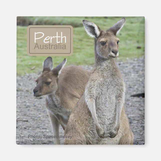 Perth Australia Kangaroo Travel Fridge Magnets (Front)