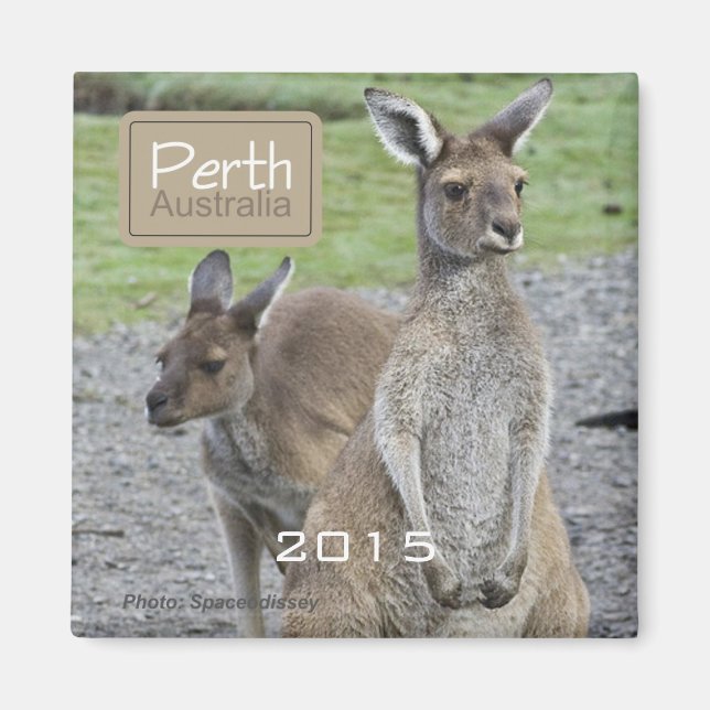 Perth Australie Kangaroo Frigo Magnet Changement A (Devant)