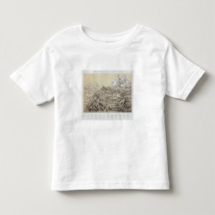 Peru 3 toddler t-shirt