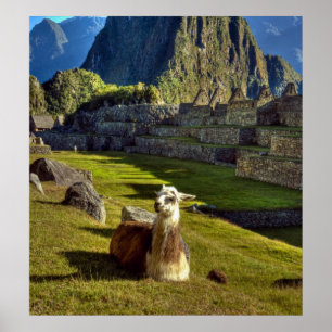 Peru, Andes, Andes Mountains, Machu Picchu, 2 Poster