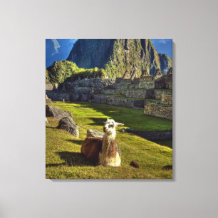 Peru, Andes, Andes Mountains, Machu Picchu, Canvas Print
