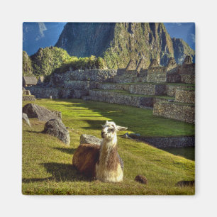 Peru, Andes, Andes Mountains, Machu Picchu Magnet