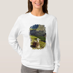Peru, Andes, Andes Mountains, Machu Picchu T-Shirt
