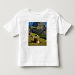 Peru, Andes, Andes Mountains, Machu Picchu Toddler T-shirt