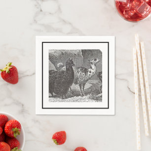 Peru Llama Alpaca Black and White Animal Art Napkin