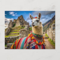 Peru Llama