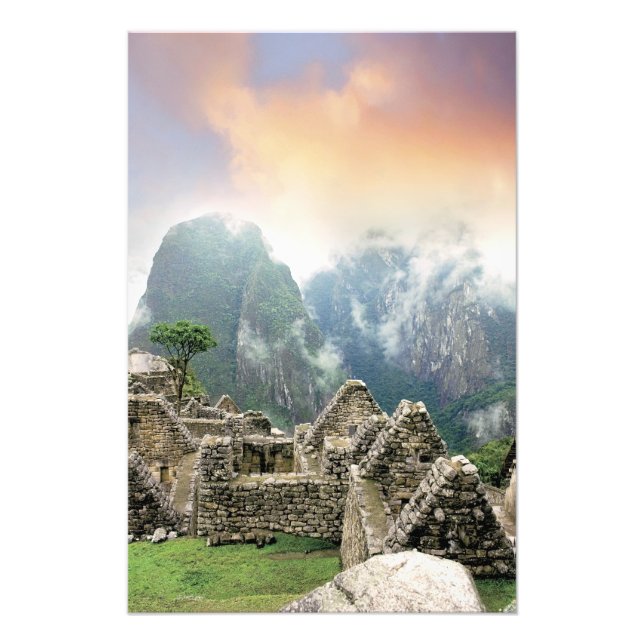 Peru, Machu Picchu, the ancient lost city of 3 Photo Print (Front)