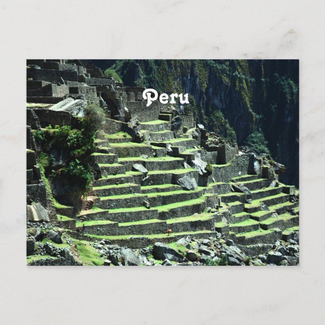 Peru Ruins Postcard (Front)