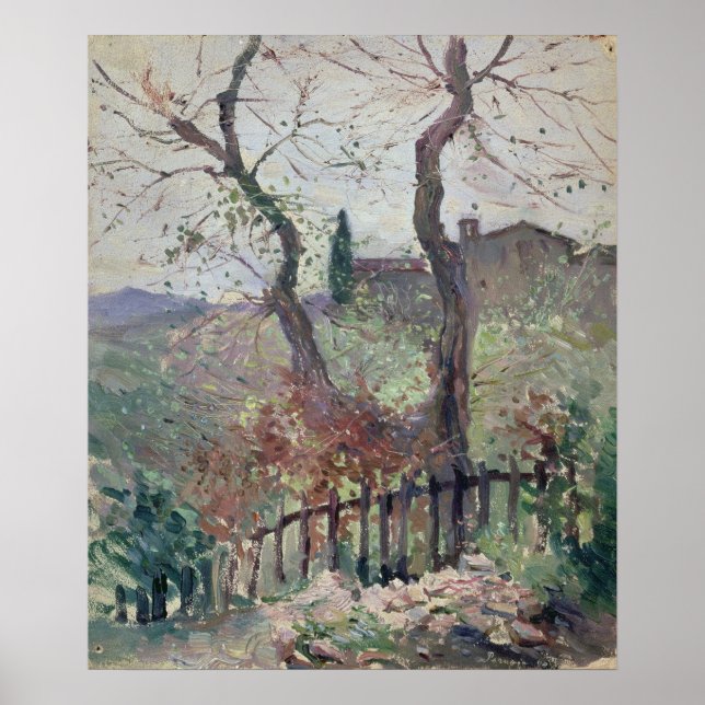 Perugia, Umbria, 1894 Poster (Front)