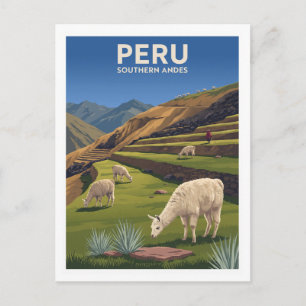 Peruvian Andes Llama Panorama Arequipa Postcard