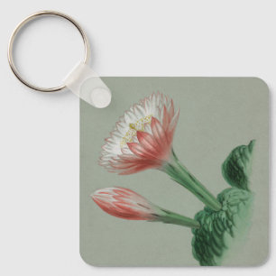 Peruvian Apple Keychain