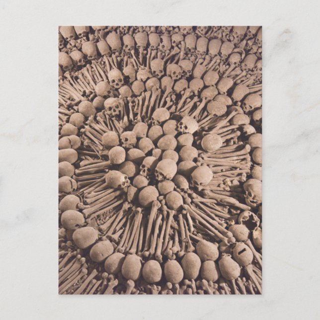 Peruvian Catacombs Macabre Artistry Postcard (Front)