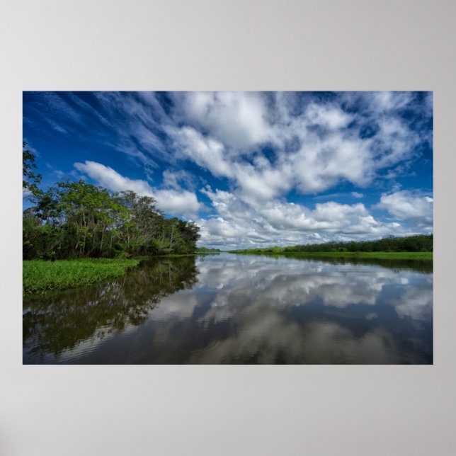 Peruvian Jungle Reflections Poster (Front)