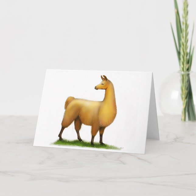 Peruvian Llama Card (Front)