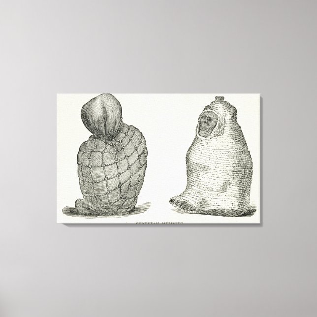 Peruvian Mummies Canvas Print (Front)