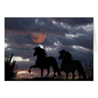 Peruvian Paso's in Moonlight