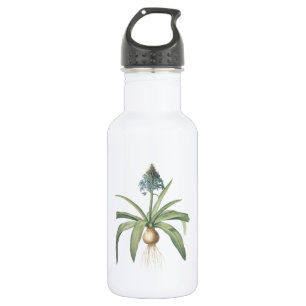 peruvian squill(Scilla peruviana) by Redouté 532 Ml Water Bottle