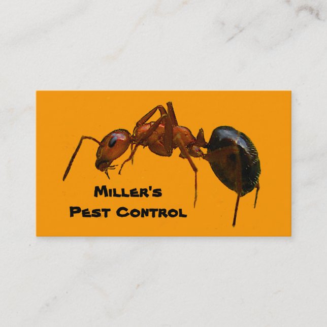 Pest Control Business Card (Front)