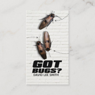 Pest control business card