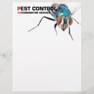 Pest control flyer