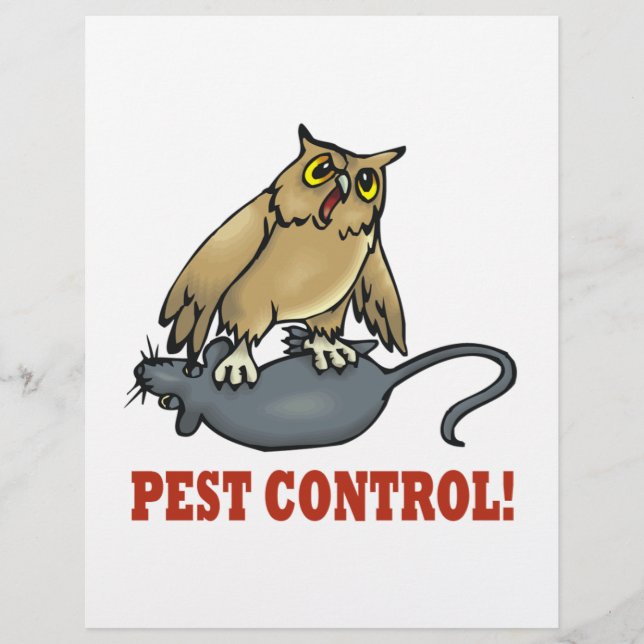 Pest Control Flyer (Front)