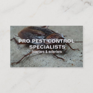 Pest Control Service Photo Business Card