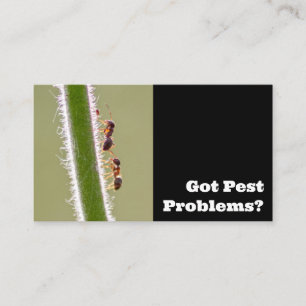 Pest exterminator for ants termites pest control business card
