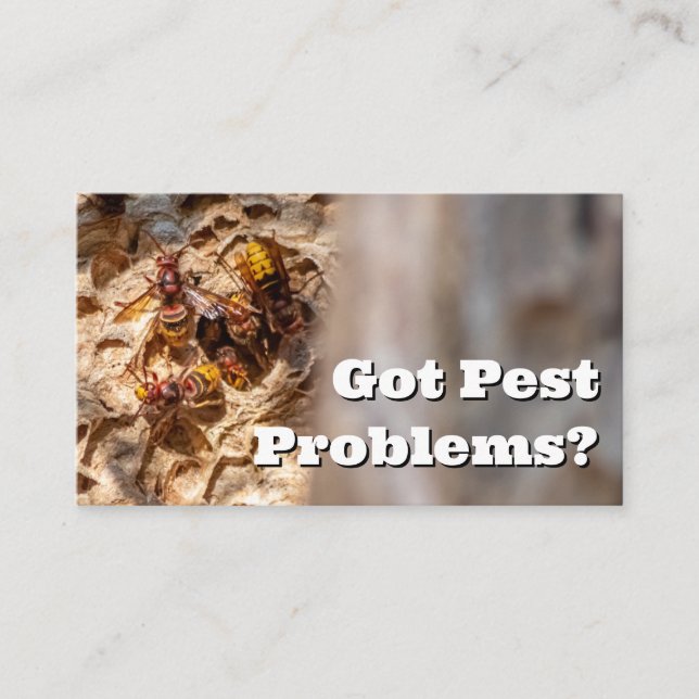 Pest exterminator for hornets wasps pest control business card (Front)