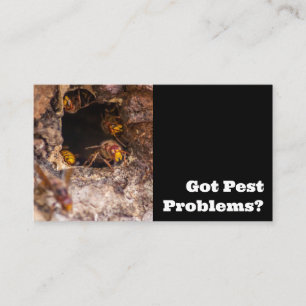 Pest exterminator for hornets wasps pest control business card