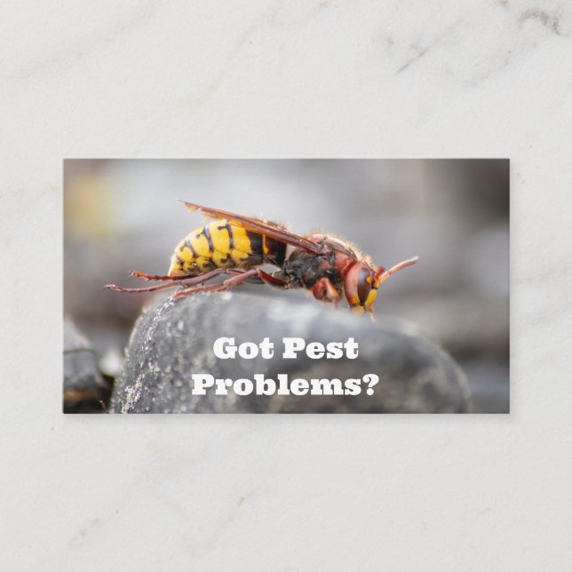 Pest exterminator for hornets wasps pest control business card (Front)