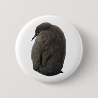 Pesto Penguin