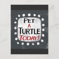 Pet A Turtle Today Postcard