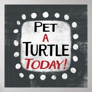 Pet A Turtle Today Poster Wall Art