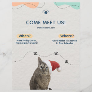 Pet Adoption, Animal Shelter Donations Flyer