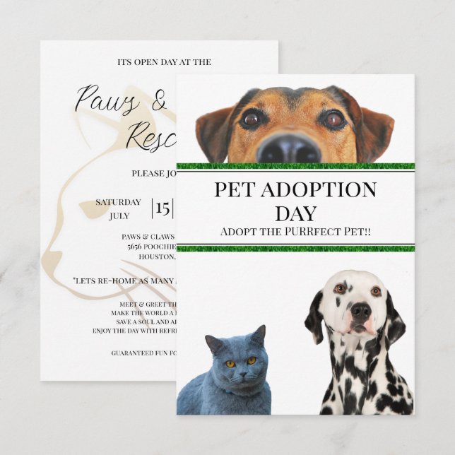 Pet Adoption Day Invitation (Front/Back)